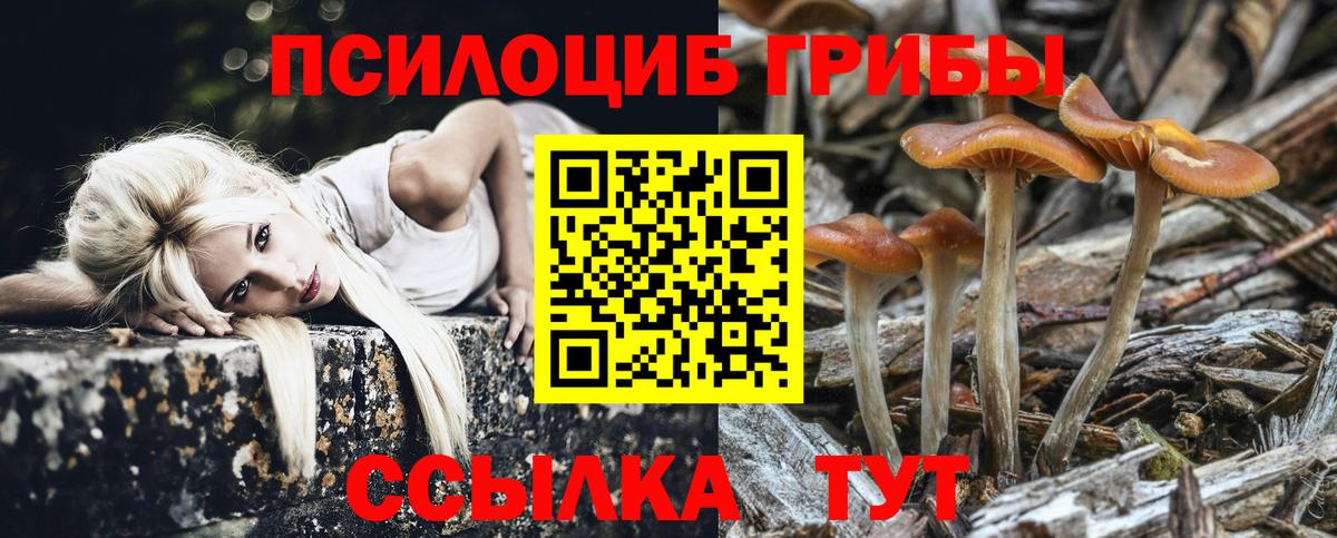Каменка  Галлюциногенные грибы ЛСД  Вход с VPN 