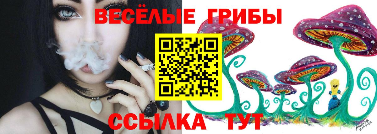 Галлюциногенные грибы мухоморы Каменка